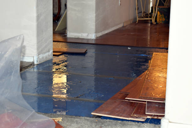 Professional Burst Pipe Cleanup technician working in Frederick, OK